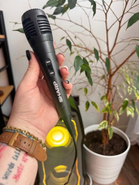 Sharp Party Speaker