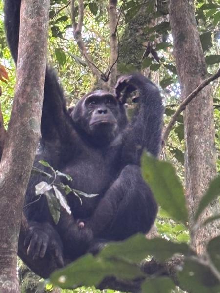 4513-Uganda Wildlife Discovery