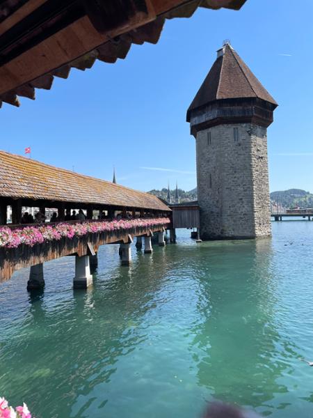Castles along The Rhine
