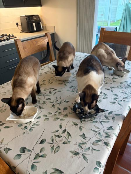 We all love Lilly’s Kitchen