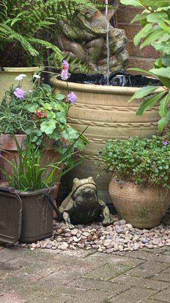 Very pleased customer