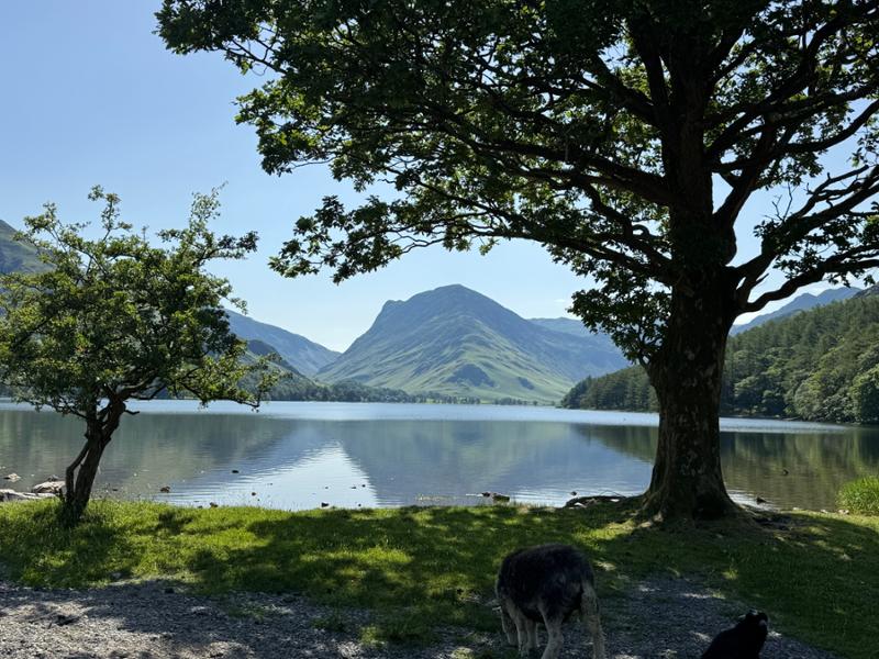 Your holiday: Northern Lake District  - Self Guided Walking