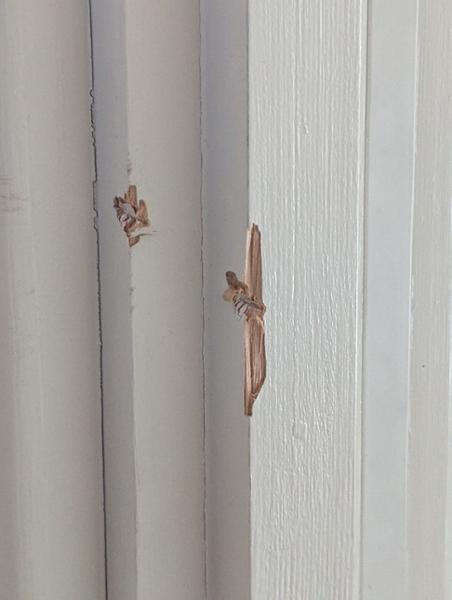 Bad delivery experience.