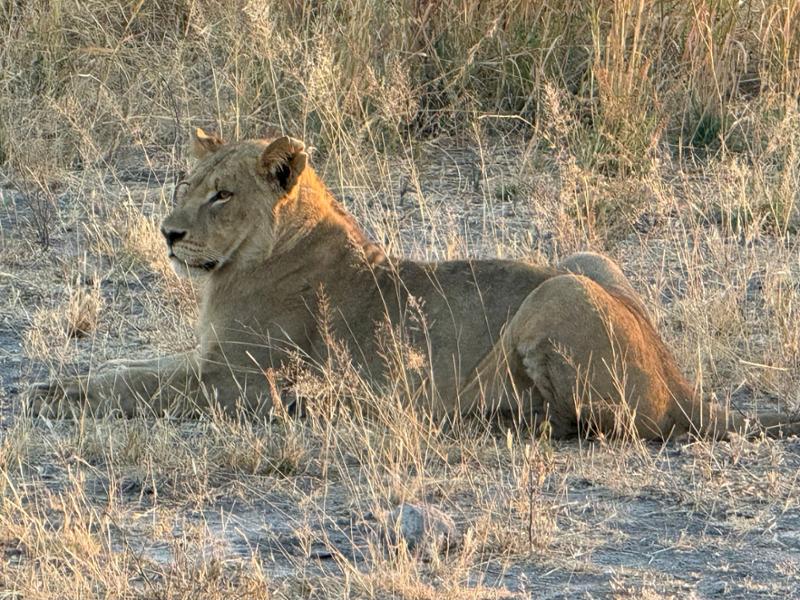 5462-Ultimate African Adventure