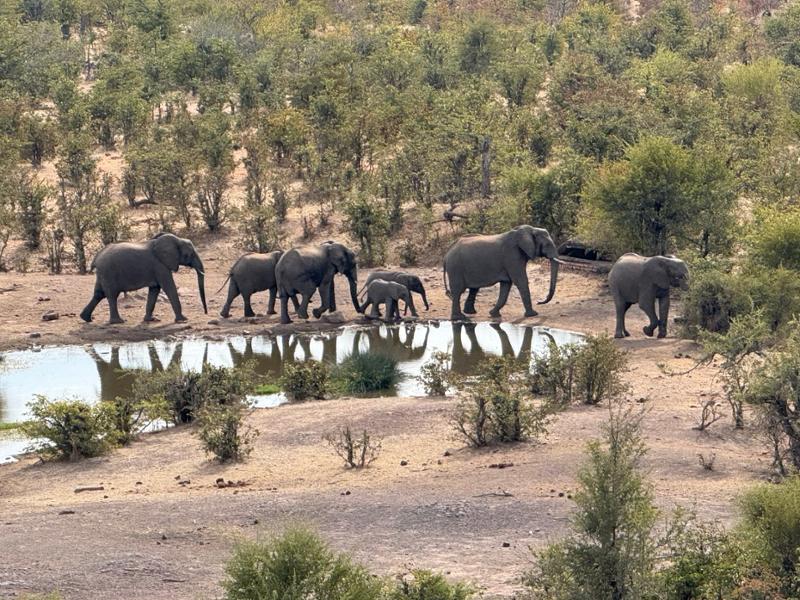 5462-Ultimate African Adventure