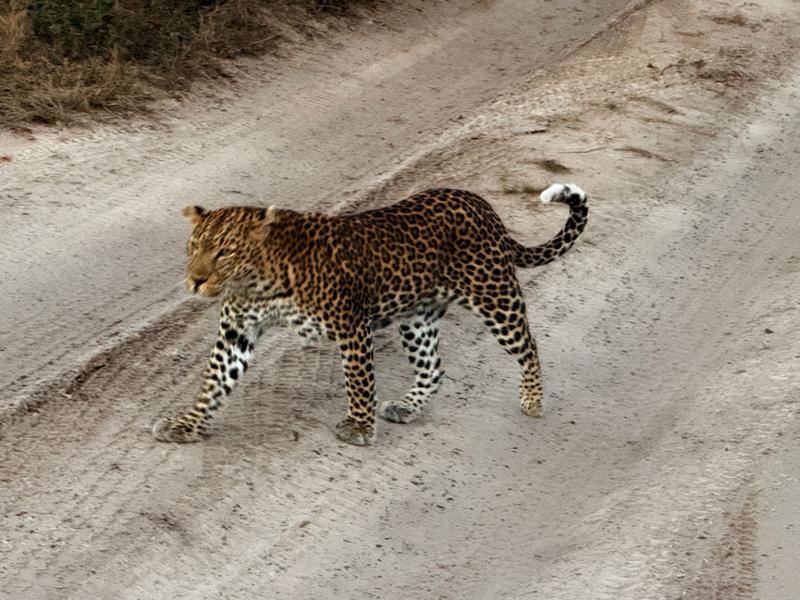 5462-Ultimate African Adventure