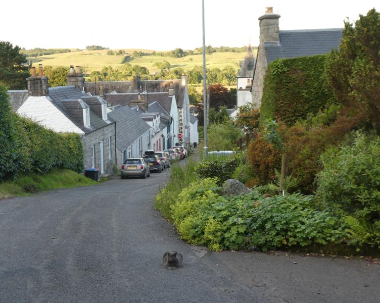 Good base for exploring Galloway.