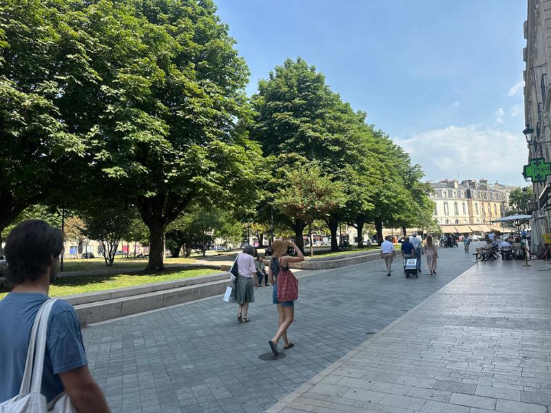 Brilliant Bordeaux