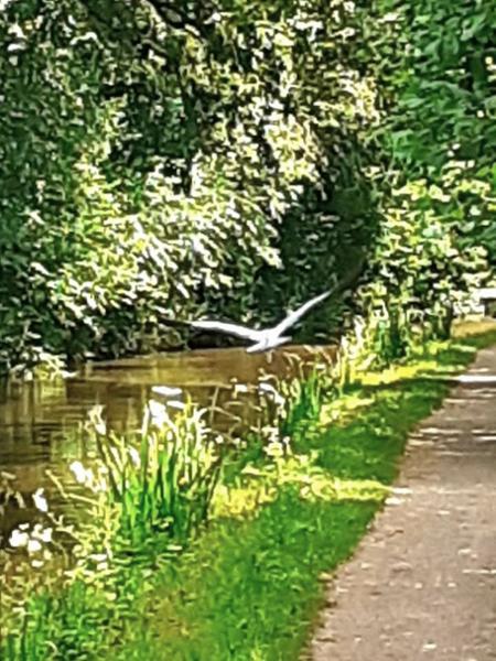 Your holiday: Brecon Beacons - Self Guided Walking