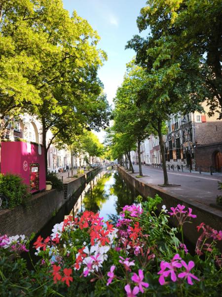 Viaje organizado en bici por Amsterdam, Haarlem, Delft y Gouda