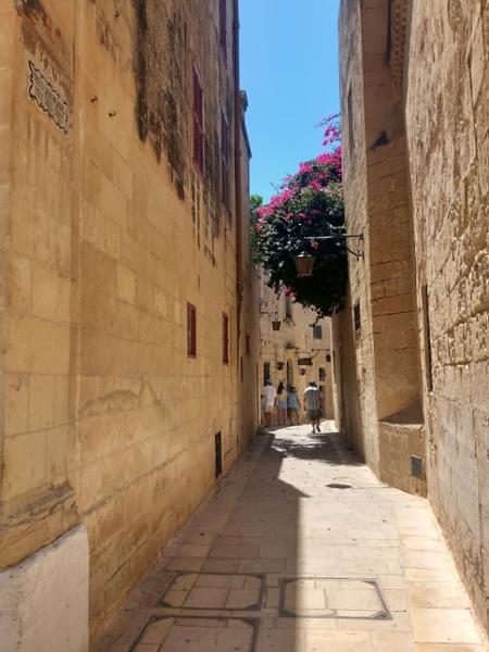 Malta Uncovered