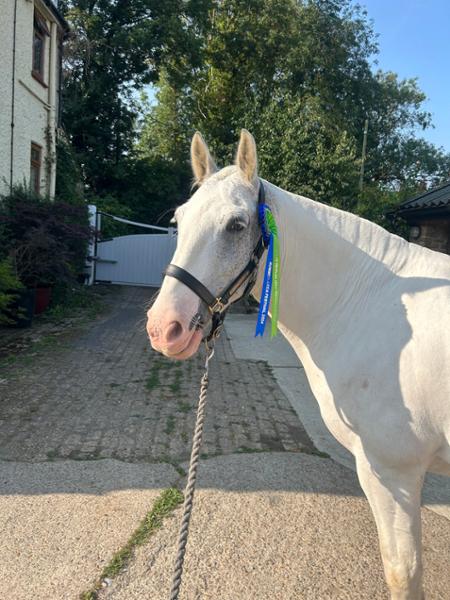 EquiDermis™