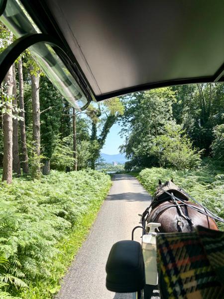 Self drive Ireland review