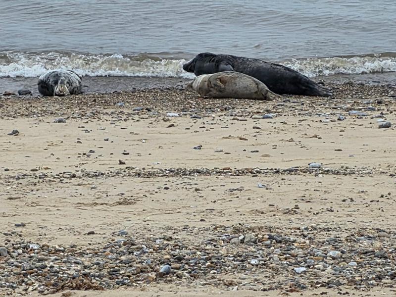 Waxham Sands Holiday Park