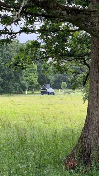 Kingston Lacy Caravan and Motorhome Park