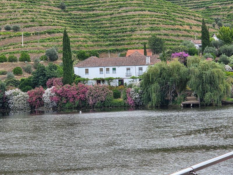 Wine Roads of France & Portugal