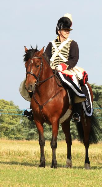 Super Concentrated Senior Balancer - For horses and ponies over 14 years