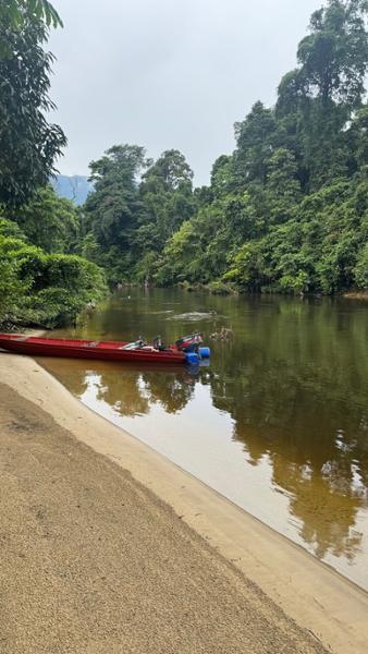 5203-Borneo Discovery