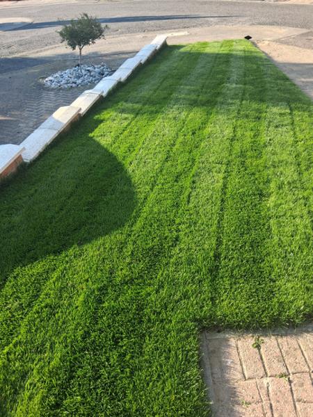 Lawn Turf from £2.59 per 1m2 - Garden Turf - Fresh Lawn Turf Rolls - Buy 10 - 1700+ Online