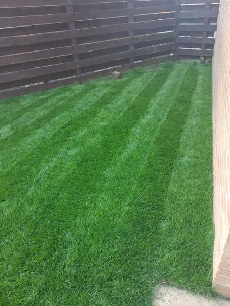 Lawn Turf from £2.59 per 1m2 - Garden Turf - Fresh Lawn Turf Rolls - Buy 10 - 1700+ Online