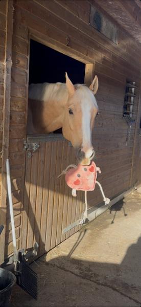 Hardy Hoof - 34 Days Supply (2.25kg)