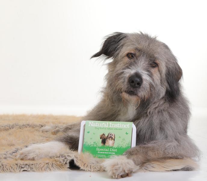 Special diet for special dogs.