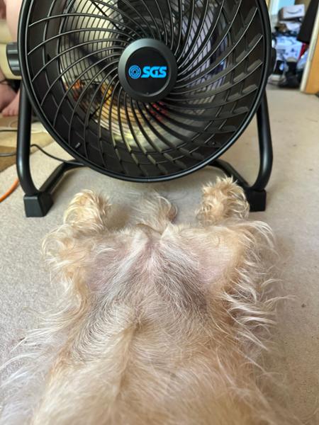 Fan…tastic!