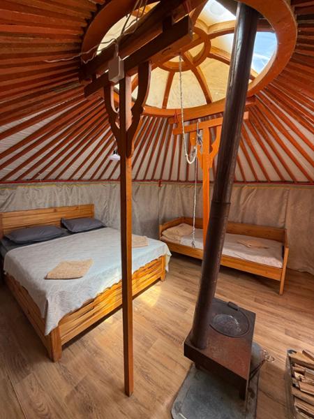 Mongolia Explorer