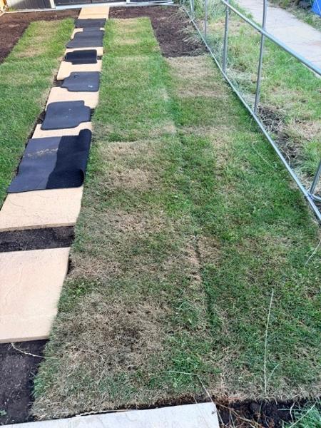 Dead turf
