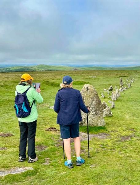 Brilliant walking poles
