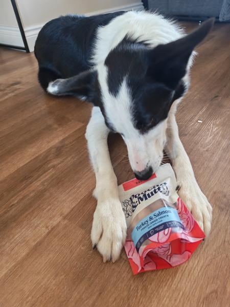 Turkey & Salmon Freeze Dried Dog Treats | 40g | Pooch & Mutt | 96% Turkey & Salmon Treats For Dogs | Grain-Free & High Protein
