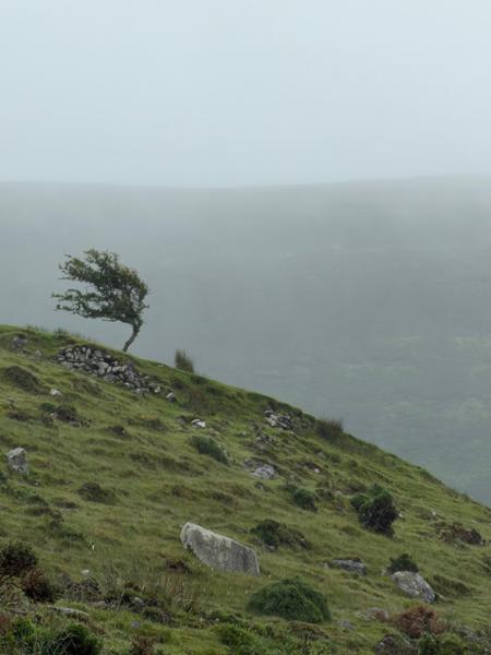 Walking Holiday in Ireland