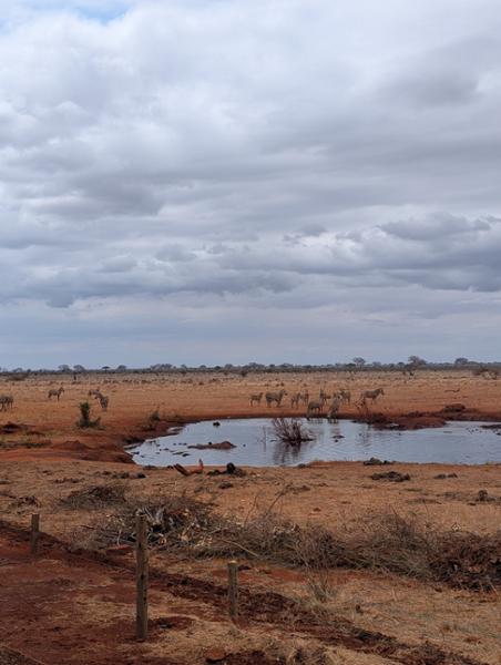Kenya