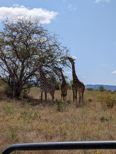 Kenya