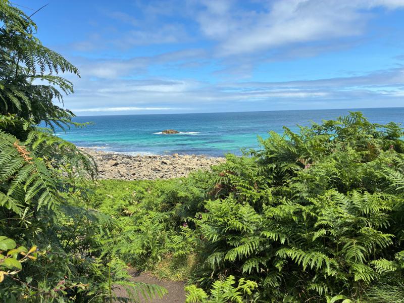 Your holiday: Cornwall  - Self Guided Walking