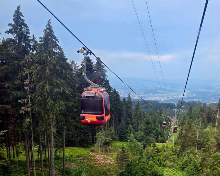Alpine Lakes & Scenic Trains on 06/16/2026