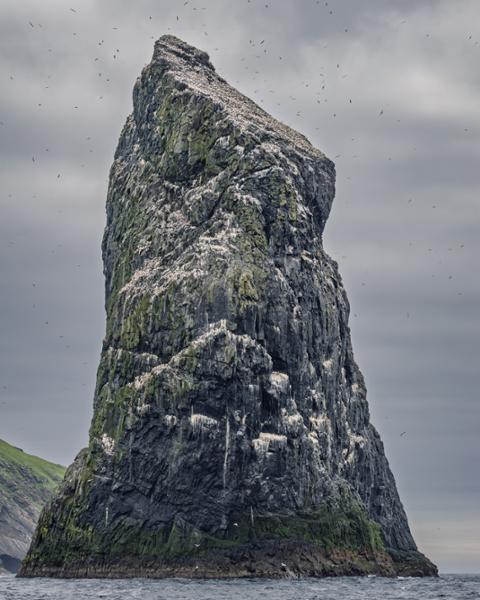 Sailing Adventure to St Kilda & the Outer Islands