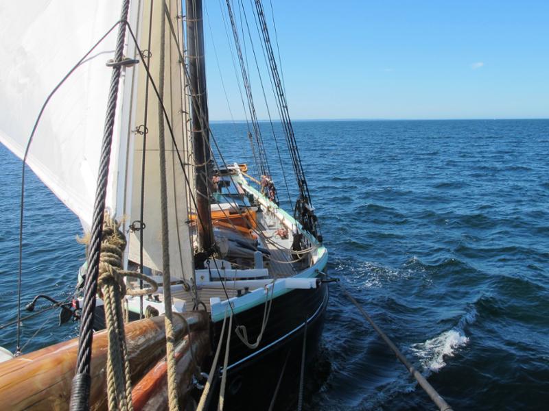 Tall Ship Sailing from Copenhagen: Midsummer in Denmark