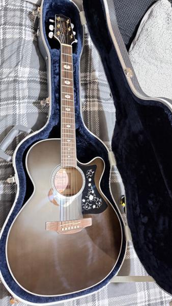 Guitar guitar