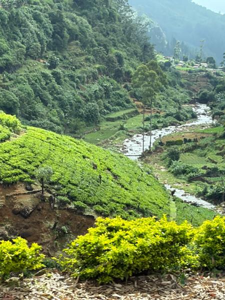 5885-Highlights of Sri Lanka for 2