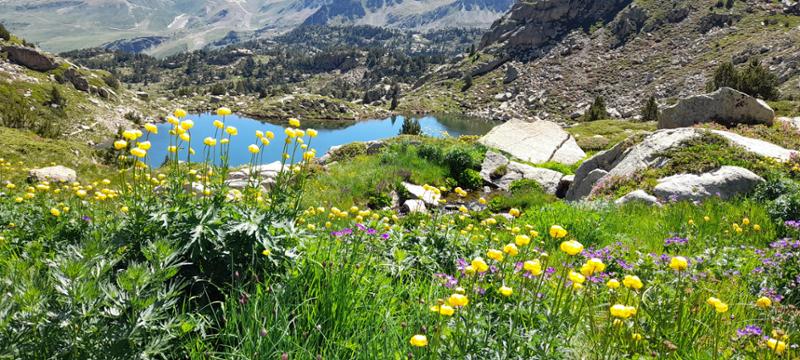 Your holiday: Andorra: Jewel of the Pyrenees  Guided Walking