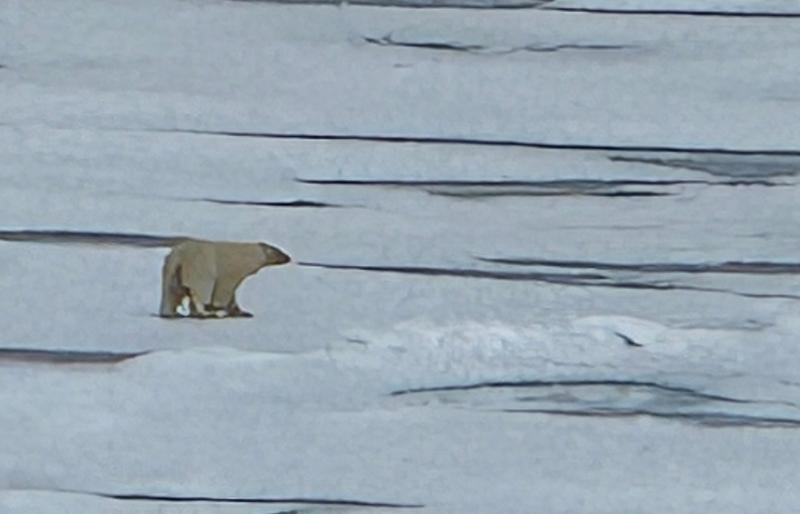 6045-Luxury Arctic Voyage 2026