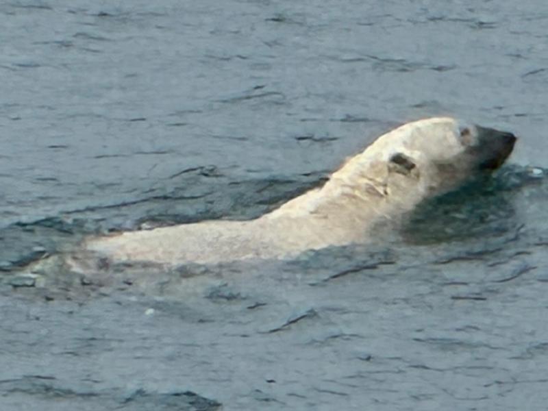 6045-Luxury Arctic Voyage 2026