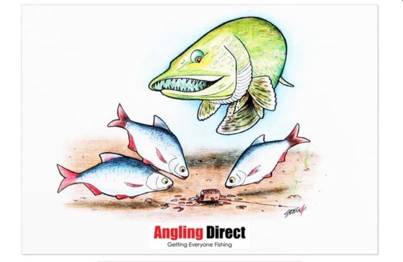 Good website for fishing equipment