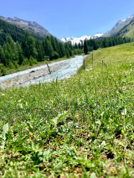 Best of Switzerland