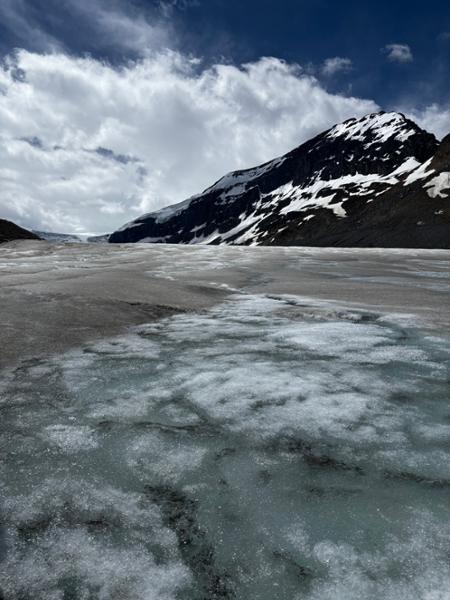 New Zealand Family Vacation