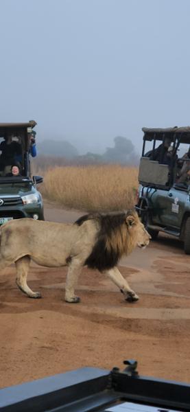 Exploring South Africa, Victoria Falls, and Botswana on 06/14/2026