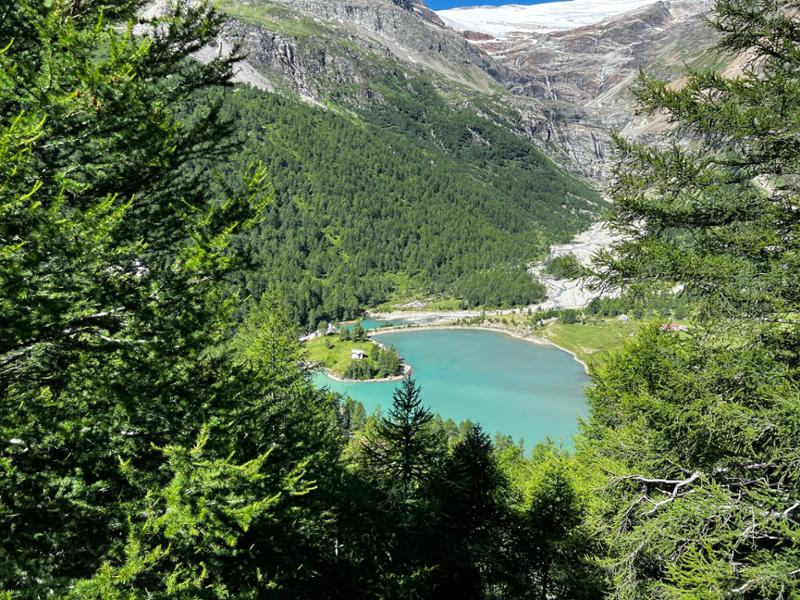 Country Roads of Switzerland