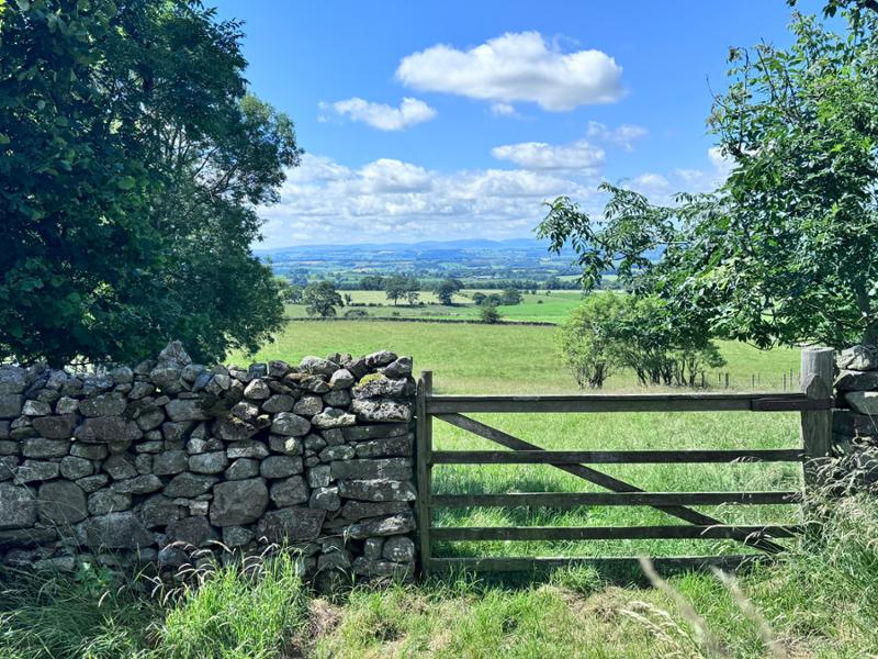 Your holiday: Western Yorkshire Dales  - Guided Walking