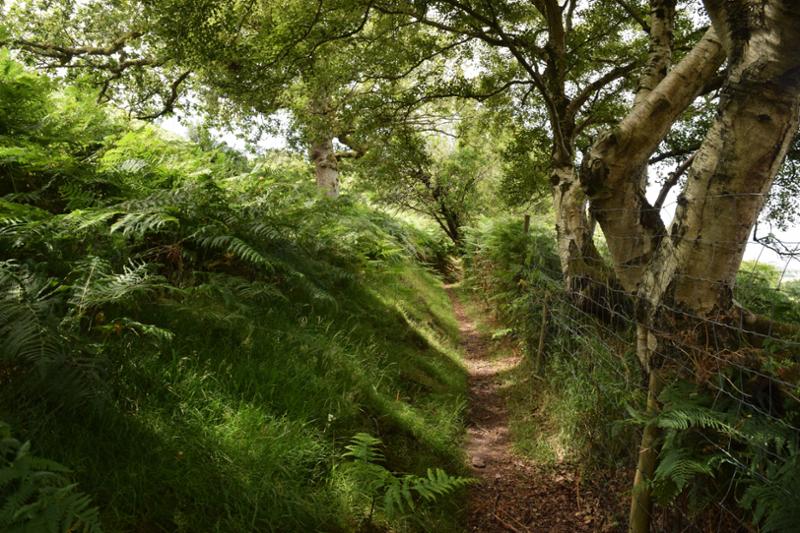 Heavenly Days on the Coleridge Way